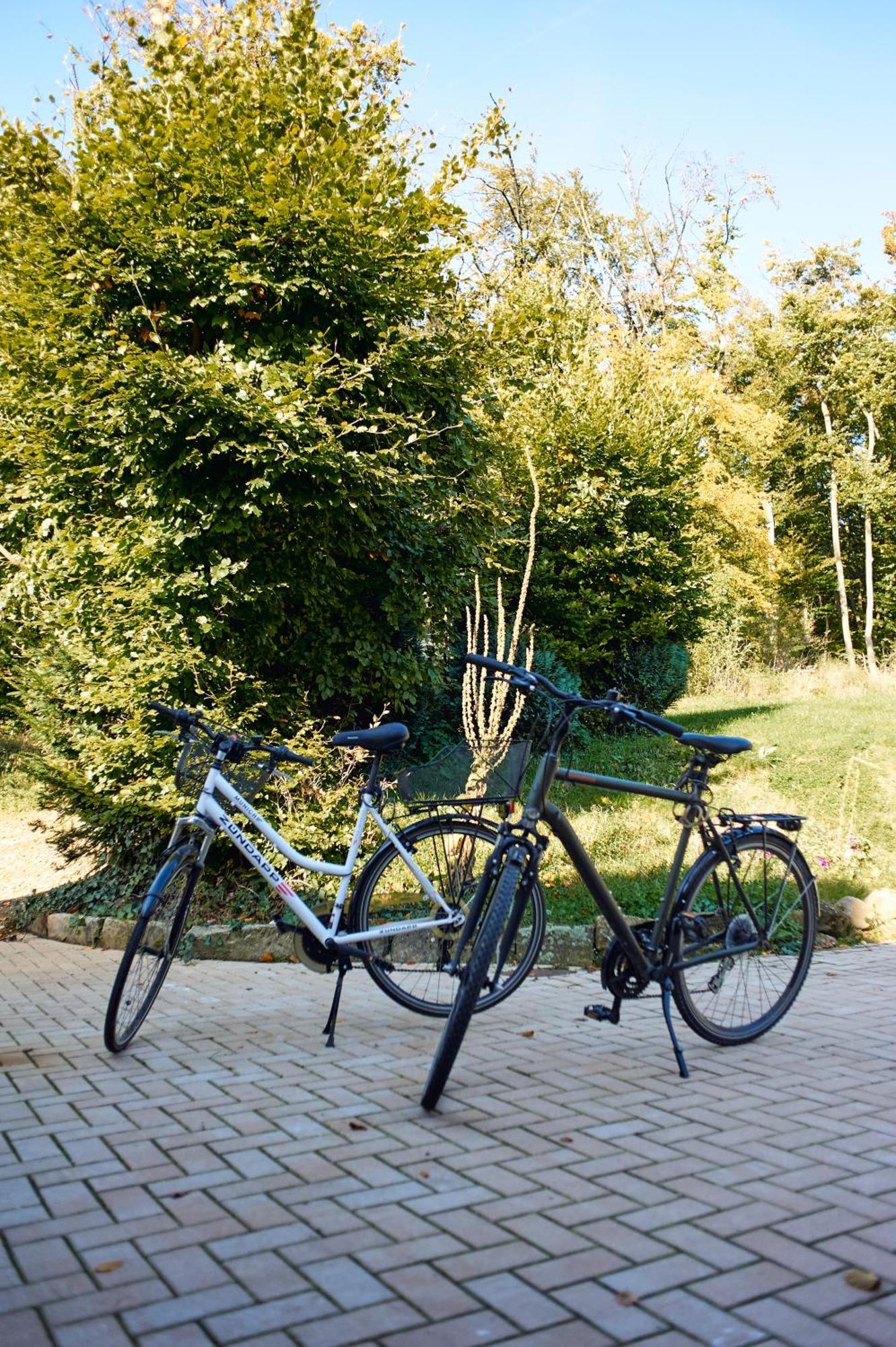 Hotel Restaurant Waldschloesschen Lienen Zewnętrze zdjęcie